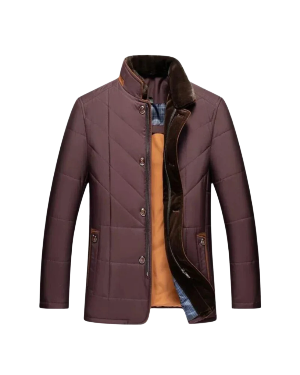 Raymond | Gestepptes Winterjacket